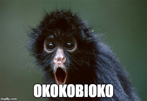 OKOKOBIOKO | image tagged in open mouth monkey | made w/ Imgflip meme maker