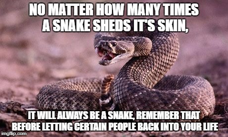 Rattlesnake |  NO MATTER HOW MANY TIMES A SNAKE SHEDS IT'S SKIN, IT WILL ALWAYS BE A SNAKE, REMEMBER THAT BEFORE LETTING CERTAIN PEOPLE BACK INTO YOUR LIFE | image tagged in rattlesnake | made w/ Imgflip meme maker