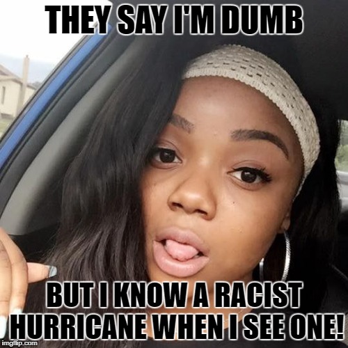 Racist Hurricane | THEY SAY I'M DUMB; BUT I KNOW A RACIST HURRICANE WHEN I SEE ONE! | image tagged in trump,donald trump,hurricane irma,conspiracy theory,stupid people,silly | made w/ Imgflip meme maker