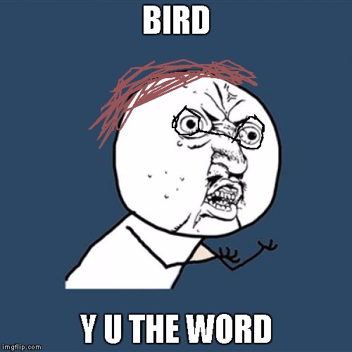 Y U No | BIRD; Y U THE WORD | image tagged in memes,y u no | made w/ Imgflip meme maker