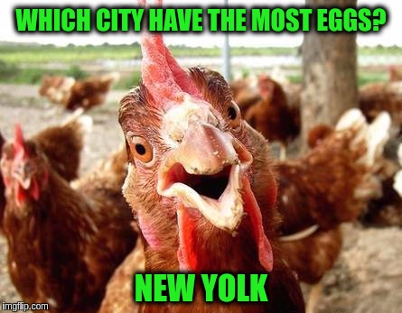 joke chicken | WHICH CITY HAVE THE MOST EGGS? NEW YOLK | image tagged in joke chicken,chicken,eggs,memes,funny,jokes | made w/ Imgflip meme maker