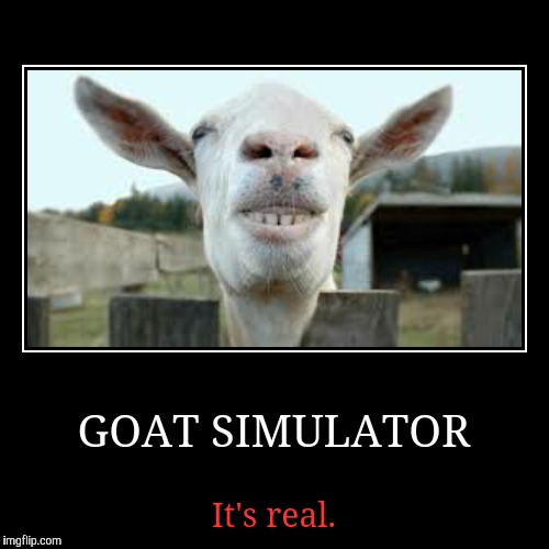 I Googled 'funny animal' and got this... | image tagged in funny,demotivationals,goat | made w/ Imgflip demotivational maker