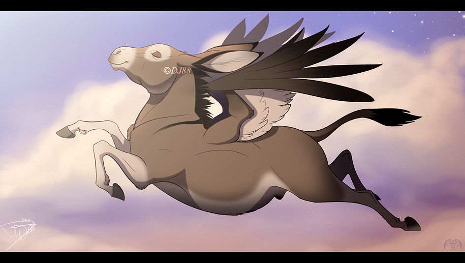 blah alahs ride Blank Meme Template