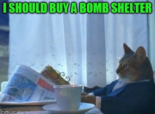 I Should Buy A Boat Cat | I SHOULD BUY A BOMB SHELTER | image tagged in memes,i should buy a boat cat | made w/ Imgflip meme maker