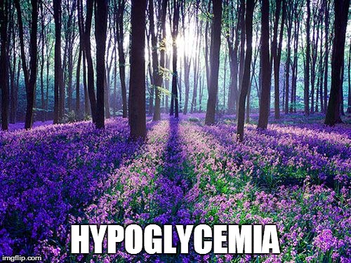 HYPOGLYCEMIA | made w/ Imgflip meme maker