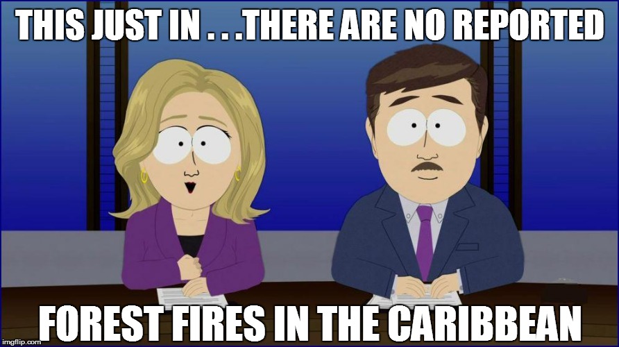 THIS JUST IN . . .THERE ARE NO REPORTED FOREST FIRES IN THE CARIBBEAN | made w/ Imgflip meme maker