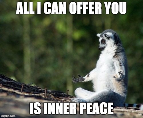 suricate_yoga | ALL I CAN OFFER YOU; IS INNER PEACE | image tagged in suricate_yoga | made w/ Imgflip meme maker