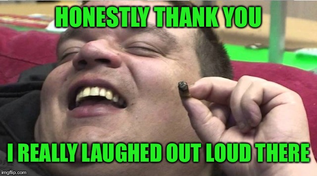 Laughing stoner | HONESTLY THANK YOU I REALLY LAUGHED OUT LOUD THERE | image tagged in laughing stoner | made w/ Imgflip meme maker