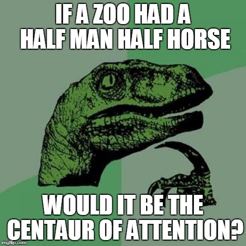 Philosoraptor | IF A ZOO HAD A HALF MAN HALF HORSE; WOULD IT BE THE CENTAUR OF ATTENTION? | image tagged in memes,philosoraptor | made w/ Imgflip meme maker