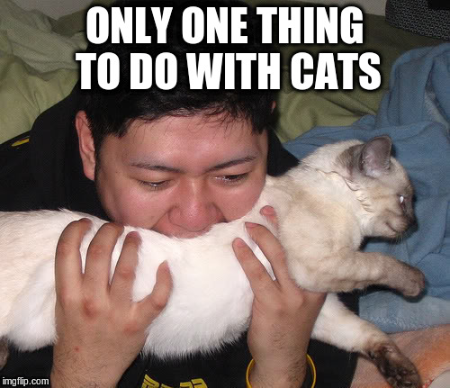 ONLY ONE THING TO DO WITH CATS | made w/ Imgflip meme maker