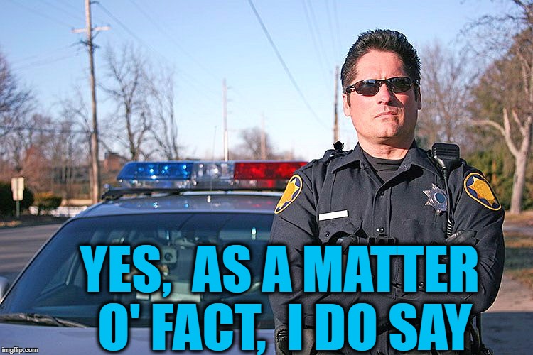 police | YES,  AS A MATTER O' FACT,  I DO SAY | image tagged in police | made w/ Imgflip meme maker