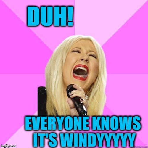 DUH! EVERYONE KNOWS IT'S WINDYYYYY | image tagged in karaoke | made w/ Imgflip meme maker