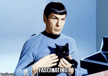 Mr Spock with cat fascinating! - Imgflip