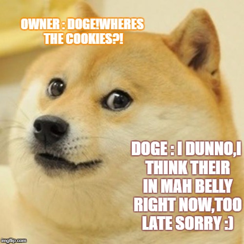 Doge Meme | OWNER : DOGE!WHERES THE COOKIES?! DOGE : I DUNNO,I THINK THEIR IN MAH BELLY RIGHT NOW,TOO LATE SORRY :) | image tagged in memes,doge | made w/ Imgflip meme maker