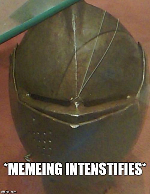 *MEMEING INTENSTIFIES* | image tagged in ______ intensifies | made w/ Imgflip meme maker