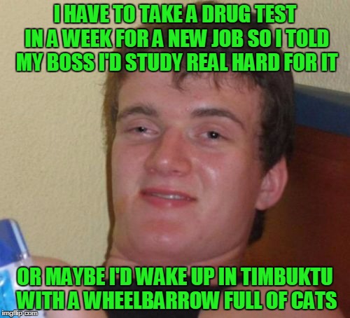 either way I figure I'll ace it (thanks to DeedsterDoo for inspiration) | I HAVE TO TAKE A DRUG TEST IN A WEEK FOR A NEW JOB SO I TOLD MY BOSS I'D STUDY REAL HARD FOR IT; OR MAYBE I'D WAKE UP IN TIMBUKTU WITH A WHEELBARROW FULL OF CATS | image tagged in memes,10 guy,drug test | made w/ Imgflip meme maker