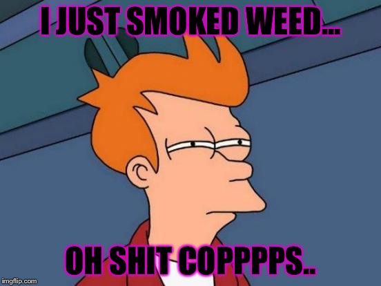 Futurama Fry | I JUST SMOKED WEED... OH SHIT COPPPPS.. | image tagged in memes,futurama fry | made w/ Imgflip meme maker