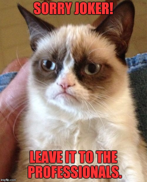 Grumpy Cat Meme | SORRY JOKER! LEAVE IT TO THE PROFESSIONALS. | image tagged in memes,grumpy cat | made w/ Imgflip meme maker