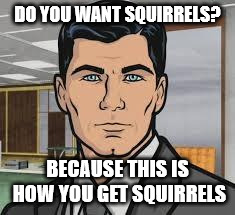 Do you want ants archer | DO YOU WANT SQUIRRELS? BECAUSE THIS IS HOW YOU GET SQUIRRELS | image tagged in do you want ants archer | made w/ Imgflip meme maker