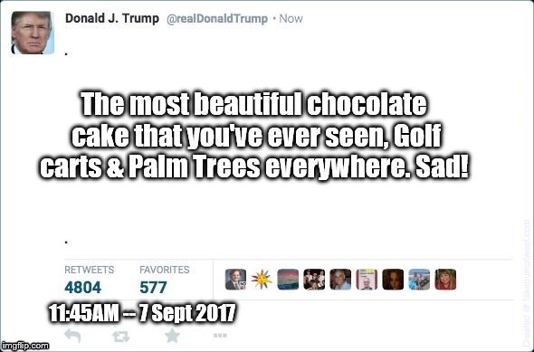 blank trump tweet | The most beautiful chocolate cake that you've ever seen, Golf carts & Palm Trees everywhere. Sad! 11:45AM -- 7 Sept 2017 | image tagged in blank trump tweet | made w/ Imgflip meme maker