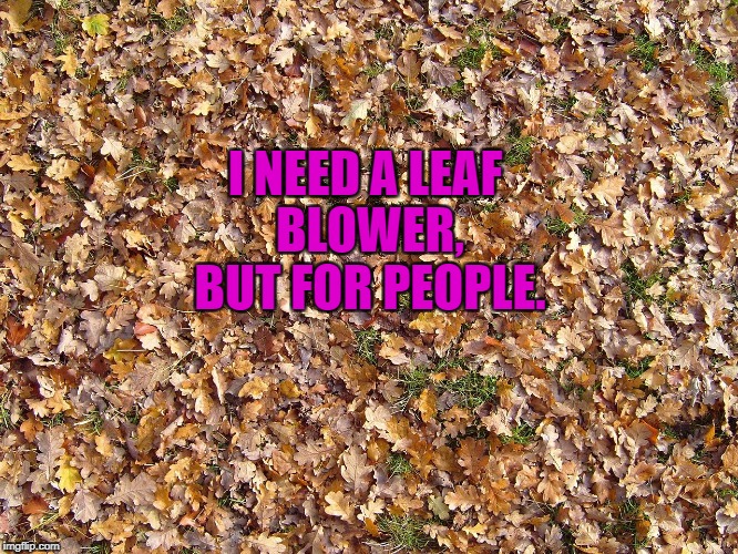 Leaves | I NEED A LEAF BLOWER, BUT FOR PEOPLE. | image tagged in funny,funny memes,memes,annoying people | made w/ Imgflip meme maker