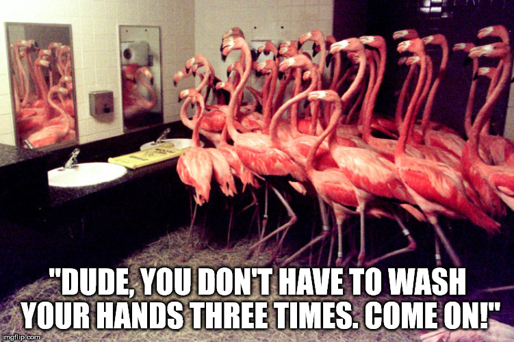 Flamingo Convention | "DUDE, YOU DON'T HAVE TO WASH YOUR HANDS THREE TIMES. COME ON!" | image tagged in etiquette | made w/ Imgflip meme maker