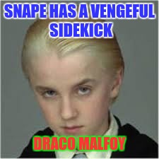  Harry potter | SNAPE HAS A VENGEFUL SIDEKICK; DRACO MALFOY | image tagged in draco malfoy | made w/ Imgflip meme maker