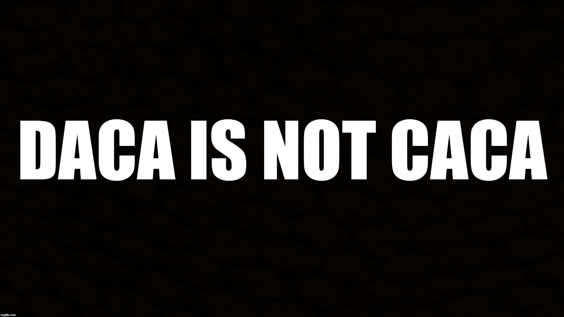 Daca is not caca | DACA IS NOT CACA | image tagged in daca,caca | made w/ Imgflip meme maker