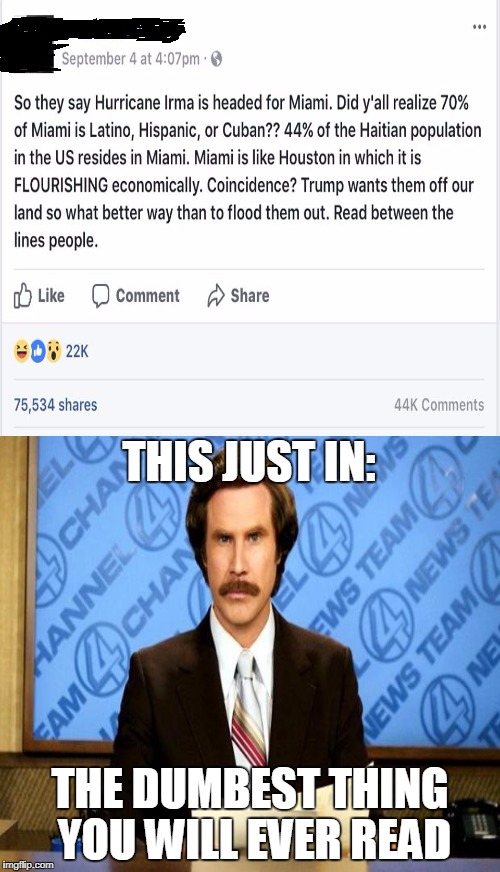 Please don't take this as a challenge. | THIS JUST IN:; THE DUMBEST THING YOU WILL EVER READ | image tagged in hurricane irma,miami,ron burgundy,this just in,memes | made w/ Imgflip meme maker
