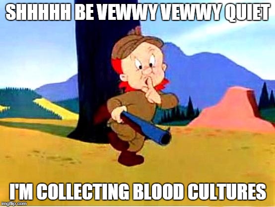 Elmer Fudd | SHHHHH BE VEWWY VEWWY QUIET; I'M COLLECTING BLOOD CULTURES | image tagged in elmer fudd | made w/ Imgflip meme maker