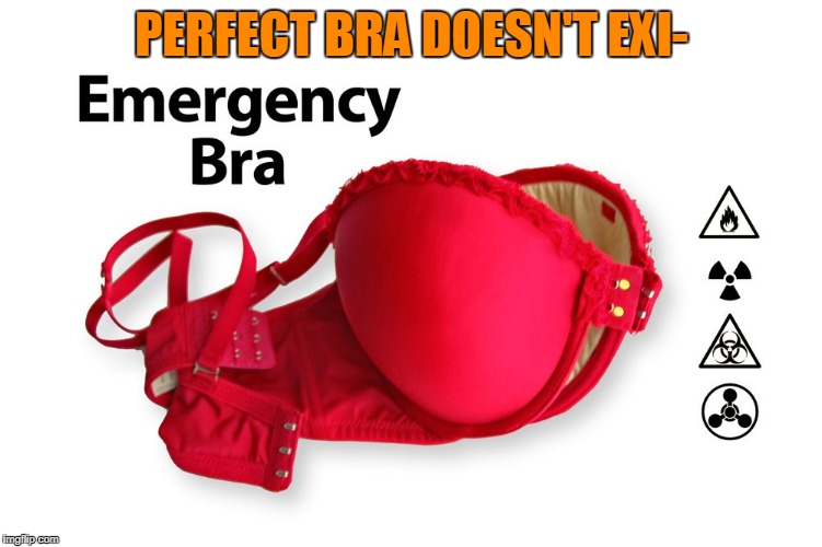Junk memes  | PERFECT BRA DOESN'T EXI- | image tagged in junk | made w/ Imgflip meme maker
