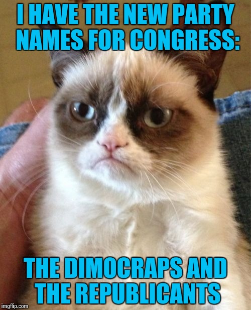 Grumpy Cat | I HAVE THE NEW PARTY NAMES FOR CONGRESS:; THE DIMOCRAPS AND THE REPUBLICANTS | image tagged in memes,grumpy cat | made w/ Imgflip meme maker