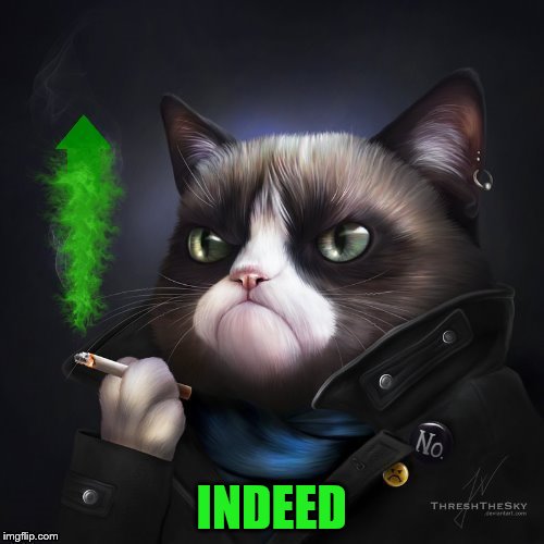 INDEED | made w/ Imgflip meme maker