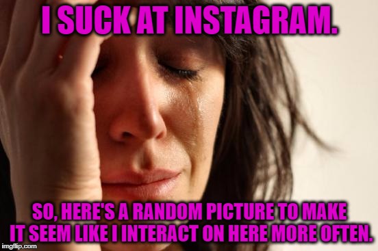 First World Problems | I SUCK AT INSTAGRAM. SO, HERE'S A RANDOM PICTURE TO MAKE IT SEEM LIKE I INTERACT ON HERE MORE OFTEN. | image tagged in memes,first world problems | made w/ Imgflip meme maker