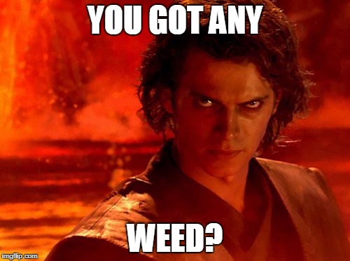 You Underestimate My Power | YOU GOT ANY; WEED? | image tagged in memes,you underestimate my power | made w/ Imgflip meme maker