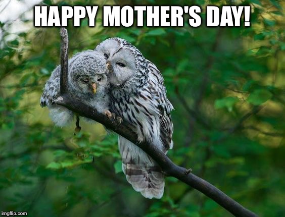HAPPY MOTHER'S DAY! | image tagged in happy mother's day | made w/ Imgflip meme maker