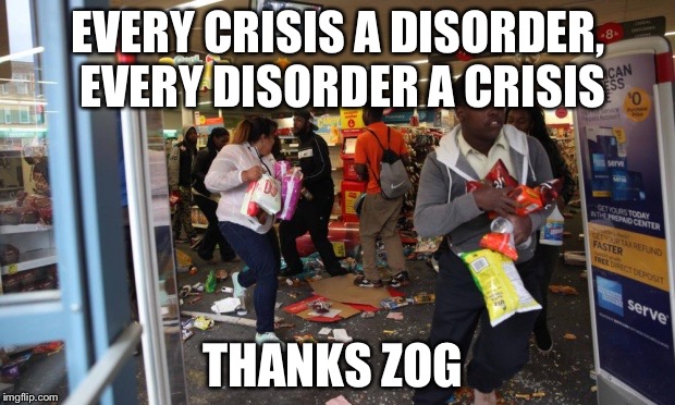 looters | EVERY CRISIS A DISORDER, EVERY DISORDER A CRISIS; THANKS ZOG | image tagged in looters | made w/ Imgflip meme maker