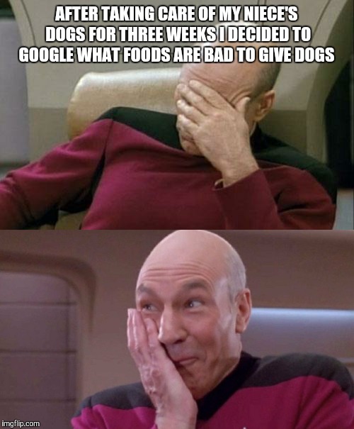 Oops. Now I know  | AFTER TAKING CARE OF MY NIECE'S DOGS FOR THREE WEEKS I DECIDED TO GOOGLE WHAT FOODS ARE BAD TO GIVE DOGS | image tagged in memes | made w/ Imgflip meme maker