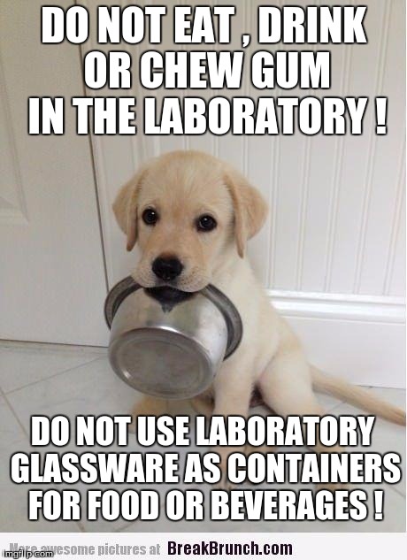 Food | DO NOT EAT , DRINK OR CHEW GUM IN THE LABORATORY ! DO NOT USE LABORATORY GLASSWARE AS CONTAINERS FOR FOOD OR BEVERAGES ! | image tagged in food | made w/ Imgflip meme maker