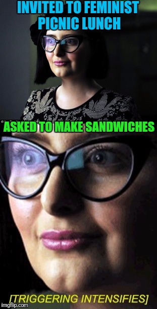 Sandwiches are plain because she couldn't open condiment jars... | INVITED TO FEMINIST PICNIC LUNCH; ASKED TO MAKE SANDWICHES | image tagged in triggered feminist,sandwich | made w/ Imgflip meme maker