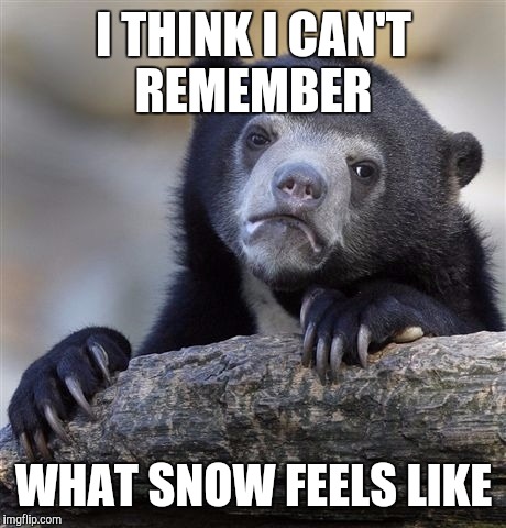 Confession Bear Meme | I THINK I CAN'T REMEMBER; WHAT SNOW FEELS LIKE | image tagged in memes,confession bear | made w/ Imgflip meme maker
