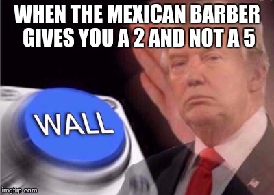 Trump wall button  | WHEN THE MEXICAN BARBER GIVES YOU A 2 AND NOT A 5 | image tagged in trump wall button | made w/ Imgflip meme maker