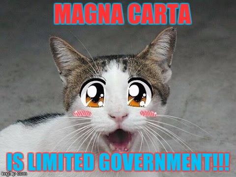Cute cat | MAGNA CARTA; IS LIMITED GOVERNMENT!!! | image tagged in cute cat | made w/ Imgflip meme maker