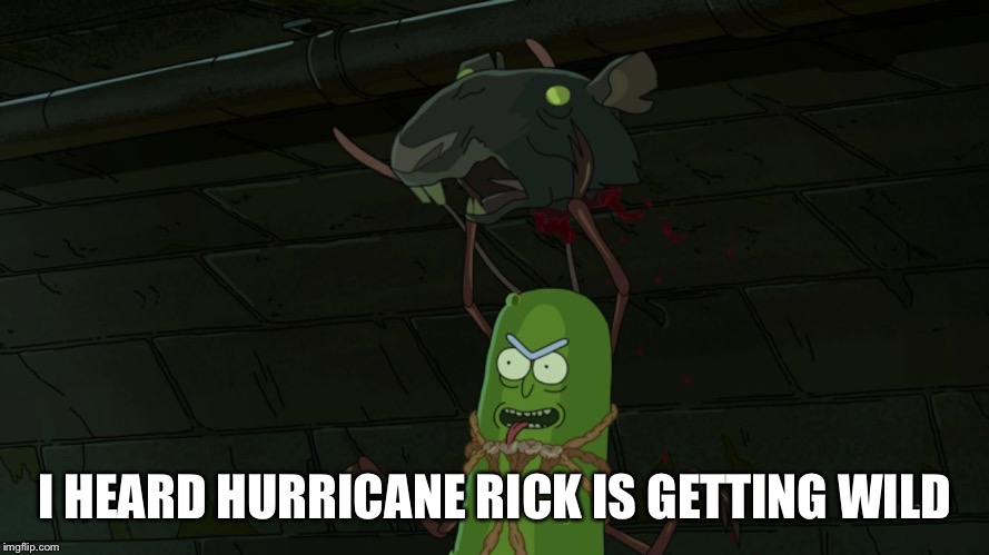 Rick pickle | I HEARD HURRICANE RICK IS GETTING WILD | image tagged in rick pickle | made w/ Imgflip meme maker