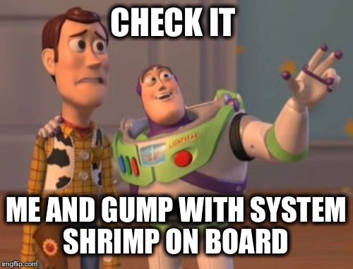 What gets into Buzz Lightyear all the time?  | CHECK IT; ME AND GUMP WITH SYSTEM SHRIMP ON BOARD | image tagged in memes,x x everywhere,ha ha | made w/ Imgflip meme maker