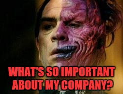 Two Face Knows | WHAT'S SO IMPORTANT ABOUT MY COMPANY? | image tagged in two face knows | made w/ Imgflip meme maker