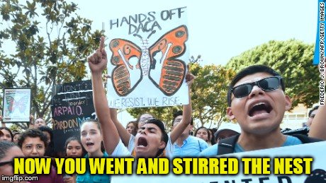 NOW YOU WENT AND STIRRED THE NEST | made w/ Imgflip meme maker