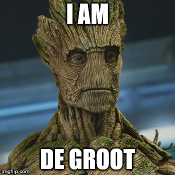 I am Groot | I AM; DE GROOT | image tagged in i am groot | made w/ Imgflip meme maker
