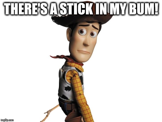 THERE'S A STICK IN MY BUM! image tagged in woody,toy story,snake in my...