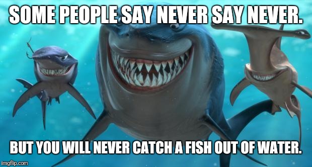 Fish are friends not food | SOME PEOPLE SAY NEVER SAY NEVER. BUT YOU WILL NEVER CATCH A FISH OUT OF WATER. | image tagged in fish are friends not food | made w/ Imgflip meme maker